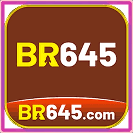 BR456 Logo
